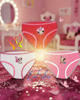 Boite De 3 Culottes Minnie
